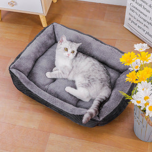 Cat lying on a gray pet bed with flowers and a magazine in the background
